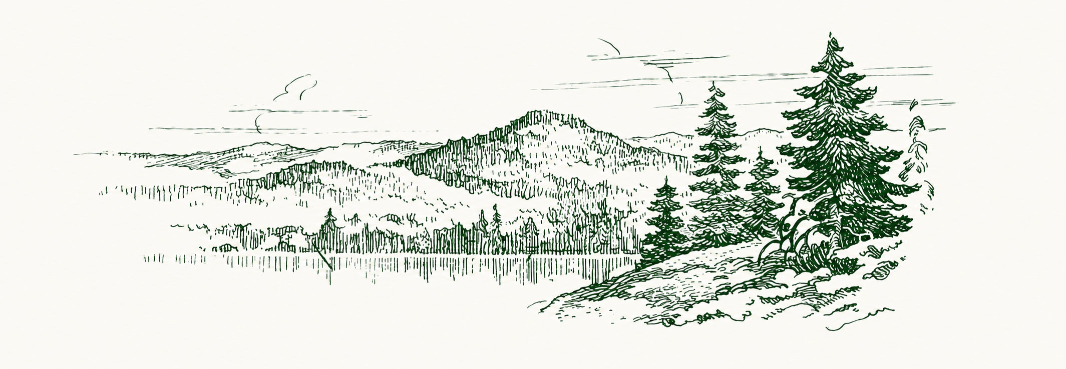 Pen-and-ink engraving of a forested ridgeline with pines in the foreground, fading into open distance.